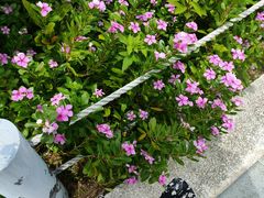 -渔·日落海景餐厅(南沙湾沙滩店)