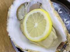 生蚝-老虎滩大连海鲜烧烤(建邺云锦路总店)