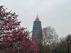 -红梅公园