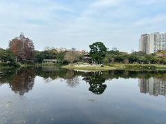 -四海公园(南山区)