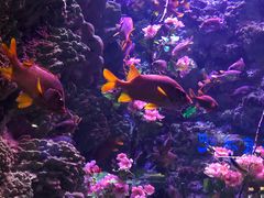 -海合安青岛极地海洋公园