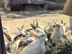 -茅山东方盐湖城景区