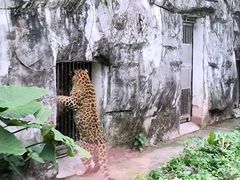-广州动物园