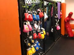 -体育科代表搏击散打体能训练馆(陶然亭店)