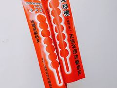 -和禄德冰糖葫芦