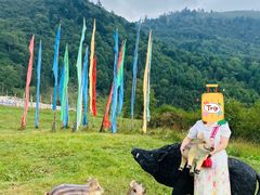 -硗碛藏寨·神木垒景区