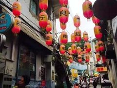 -猫咪博物馆(顶澳仔猫街店)