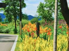 -东钱湖旅游度假区