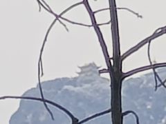 -峨眉山报国寺