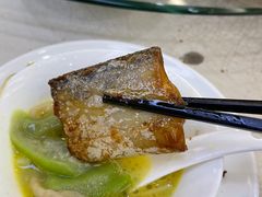 -苏启渔港(云南北路店)