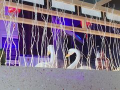 -挂雪铁锅炖大鹅