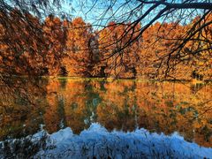 -上海海湾国家森林公园