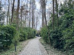 -溱湖国家湿地公园