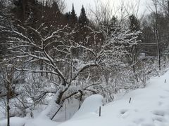 -雪谷