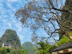 -村上春树