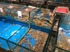 -得尔乐大酒店(南塘店)