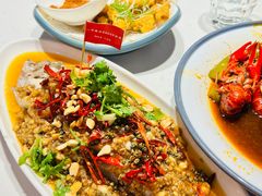 -杨氏青龙虾·羊蝎子(托乐嘉店)