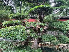 -成都武侯祠博物馆