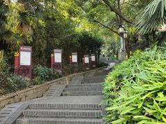 -伯先公园