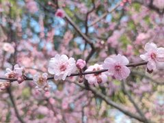 -静安雕塑公园