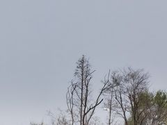 -府河摄影公园