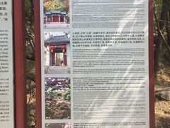 -青岛崂山太清宫