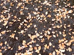 -杭州城北体育公园