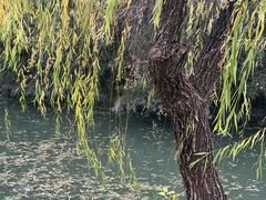 -浙江大学(紫金港校区)