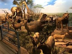 -陕西自然博物馆