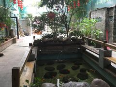 景观位-峰少印宴·私房菜·生猛海鲜·地道水乡菜(万江店)