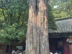 -崂山仰口游览区