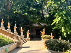 -西双版纳勐泐文化旅游区