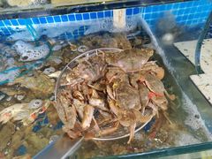 -蟹谢蒸鲜自助餐厅