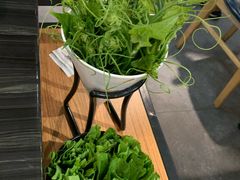 丝瓜尖-东椰·海南椰子鸡火锅(朝阳门店)