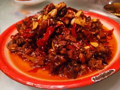 -柴窝堡22号辣子鸡·传承新疆菜