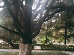 -陕西师范大学(雁塔校区)