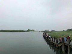 -太湖湖滨国家湿地公园-停车场