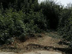 -十八家面馆(均瑶店)