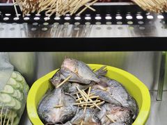 -杨合林啊兰烤鱼