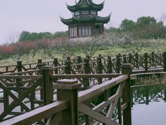 -上海海湾国家森林公园