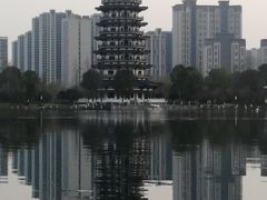 -洋湖国家湿地公园