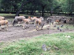 -卡塞拉自然公园