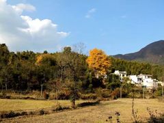 -塔川景区