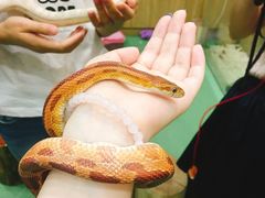 -藦茜花园宠物主题亲子互动体验馆(国顺东路店)