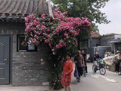 -小时光咖啡馆(北锣鼓巷店)