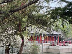-万柳阁小馆·花园餐厅(龙潭湖店)