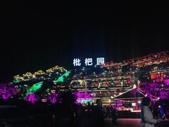 -枇杷园食为鲜火锅(南山店)