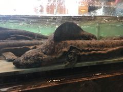 -海景壹号大酒店(惠钱路店)