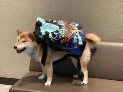 -星巴克臻选(郑州中原万达店)