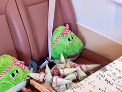 -坂田天虹